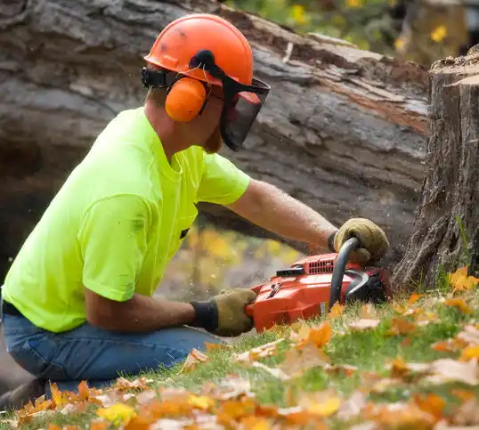 tree services Mackinaw City